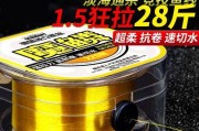 海钓路亚线的选择与技巧（以抗卷曲钓鱼线海杆路亚线为主题的选线经验与技巧分享）