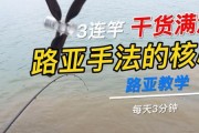 解析为什么用路亚钓鱼钓不到（探究路亚钓鱼失败的原因和解决方法）