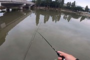 冬日路亚钓鱼的技巧与注意事项（天冷了，你还能继续享受路亚钓鱼的乐趣吗？）