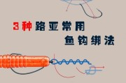 掌握路亚钓鱼杆包的正确使用方法（让你的钓鱼装备更便捷）