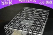 捉老鼠，一场有趣的足球游戏（以足球为工具，轻松战胜老鼠问题）