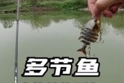 新手钓鱼是否适合玩路亚杆？（路亚钓法解析，适合新手吗？）