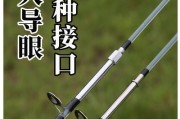 探讨以海杆和路亚竿哪个更容易钓鱼？（对比分析两种钓鱼工具的优缺点，帮助钓友做出选择）