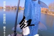 闵行钓鱼乐趣无穷——探寻最佳野钓地点（路亚钓法助你大获全胜！）