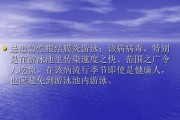游泳池安全管理技巧与方法（保障游泳池安全的实用指南）