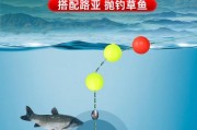 用路亚竿滑漂钓鱼的优点及技巧（掌握滑漂钓鱼技巧，轻松提高钓鱼效果）