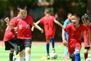 足球常识与小技巧，掌握关键要领轻松踢出高水平（运动、技术、策略、训练，打造全方位足球达人）