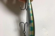 以路亚竿挂颗粒钓鱼好用吗？（挂颗粒钓鱼，路亚竿的绝佳选择）
