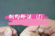 用路亚杆挂泥鳅钓鱼的技巧与方法（掌握正确的挂法，提高钓鱼效果）
