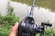 选择钓鱼用手竿海竿还是路亚的优劣势（探讨手竿海竿和路亚两种钓鱼方式的特点和适用场景）