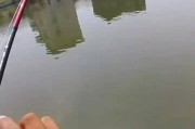 小区附近的沟里路亚钓鱼乐趣无穷（探索小区附近的沟里，发现路亚钓鱼的乐趣）