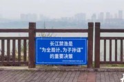 为什么以蓬安不让使用路亚钓鱼？（探讨蓬安禁止路亚钓鱼的原因及影响）