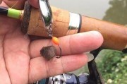 掌握路亚钓鱼技巧，轻松钓到丰富鱼群（以路亚竿为利器，找准钓鱼地点，成就高效钓鱼体验）