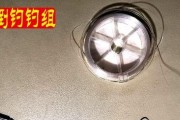 如何组装路亚钓鱼线组（全面了解路亚钓鱼线组的组装方法及技巧）