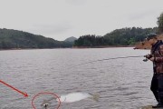 小孩在水库玩转路亚钓鱼的乐趣（让孩子尝试路亚钓鱼，培养耐心和团队合作精神）