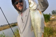 二七桥下钓鱼之路亚钓法探秘（技巧、装备和心得分享，帮助您在二七桥下获得丰收）