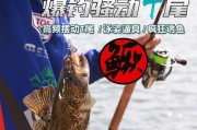 深入探究路亚黑坑钓鱼技巧（技巧与经验分享，让你成为高手）