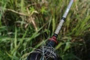 路亚技巧如何影响手杆钓鱼效果？（探究路亚技巧对手杆钓鱼的影响及实用技巧）