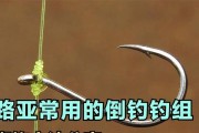 掌握路亚钓鱼的必备技巧（从零开始学会懒人结的绑法，让路亚钓鱼更轻松）