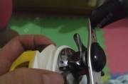 新手钓鱼路亚水滴轮调整攻略（轻松掌握调整技巧，提升钓鱼效果）