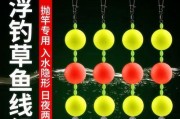 深入了解以一般路亚钓鱼几号钩钓的技巧与经验（探索一般路亚钓鱼中最适合使用的钩号及技巧）