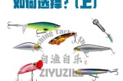 新手路亚竿钓鱼的饵料选择与技巧