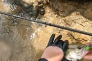 探究以路亚钓鱼中鱼儿不开口的原因与应对方法（以路亚钓鱼技巧与心得分享，助你应对鱼儿沉默的情况）