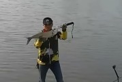 以野河用路亚钓鱼的最快方法（掌握技巧，提高效率，让你成为路亚钓鱼高手）