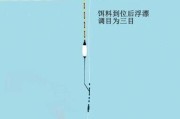 水下路亚钓鱼技巧与调漂方法（探秘水下调漂技巧，提升路亚钓鱼效果）