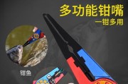 掌握路亚钓鱼手把的使用技巧（提升钓鱼效果，成为路亚高手）