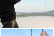 以路亚竿不要漂能钓鱼吗？（探究使用以路亚竿不要漂的钓鱼技巧及其效果）