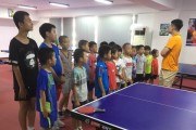 如何成为一名优秀的乒乓球小将（乒乓球技巧与训练方法全解析）