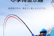 以路亚钓鱼竿不炸线套装的优势与使用技巧（挑选顶级套装，提升路亚钓鱼效果）
