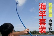 如何选择适合路亚钓鱼的竿杆？（探索路亚钓鱼竿的选择标准与技巧）