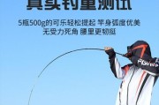 掌握以路亚竿和钓鱼竿组装的技巧（详解组装方法，助你成为钓鱼高手）