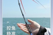 为什么不使用路亚杆钓鱼？（探讨使用路亚杆钓鱼的局限性和不足之处）