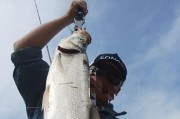 河道钓鱼之路亚的魅力（探索河道钓鱼的新方法与技巧）
