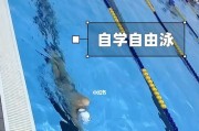 如何学会游泳（掌握游泳的技巧和方法）
