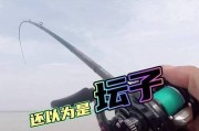 路亚钓鱼技巧解析——如何挂钩钓鱼最好（掌握正确的挂钩方法，提升路亚钓鱼成功率）
