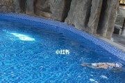 掌握游泳技巧，轻松畅游水中世界（学习游泳的关键技巧和方法，让您在水中游得更远更快）