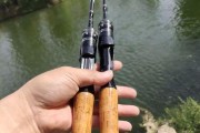 选择合适的路亚黑坑钓鱼杆子，提升钓鱼效果（探讨不同杆子的特点和适用场景，助你成为路亚黑坑钓鱼高手）