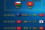 2022世界杯历史记录探秘（揭开足球盛宴的精彩瞬间与印记）