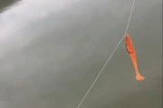 掌握路亚钓鱼技巧，精准抓住鱼口的秘诀（以路亚钓鱼为例，教你如何提高抓口准确率）
