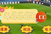 世界杯历史冠军数排名——揭示足球强国的传奇（探寻世界杯历史上最成功的国家队，谁是真正的巅峰之王？）