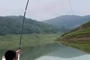 阴天小雨，鱼儿乐翻天（探究路亚钓法在阴天小雨中的效果及技巧）