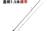 路亚钓鱼海竿的使用方法（掌握这些技巧，让你的路亚钓鱼更有收获）