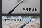 钓鱼用路亚好还是手竿好？（探讨钓鱼方式的优劣势，为你选择更合适的装备）