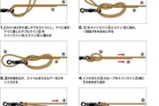 优化路亚钓鱼主线与子线间距的技巧（掌握合适的间距，提升路亚钓鱼的效果）