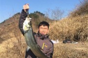 八一水库钓鱼探秘之路亚钓法（挑战水库鱼群底层的技巧与策略）