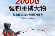 童心无价！小朋友抢路亚竿，引发一场钓鱼的思考（小朋友的天真举动让我领悟到钓鱼的真谛）